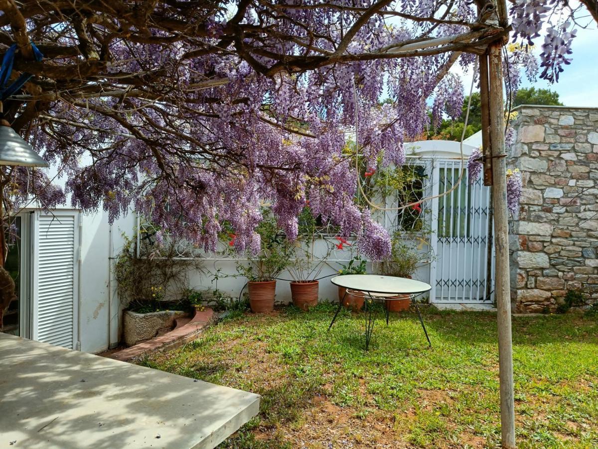 Summer Villa In Pórto Ráfti Exteriér fotografie